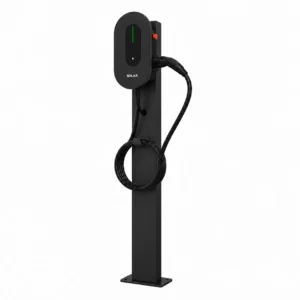 Paal SOLAX zwart (1 of 2 EV laders)